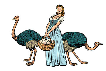 Image showing ostrich farm eggs. woman peasant farmer