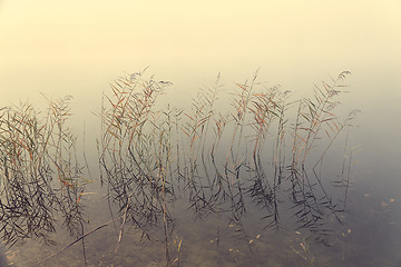 Image showing Fog on the lakeside