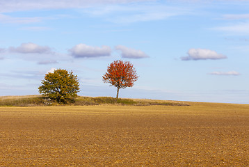 Image showing Autumn Plain Landscape