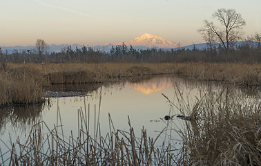 Image showing Mount Baker Over Tennant Lake at Sunset Washington State