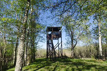 Image showing Bird watching tower in a beautiful deciduous forest by springtim