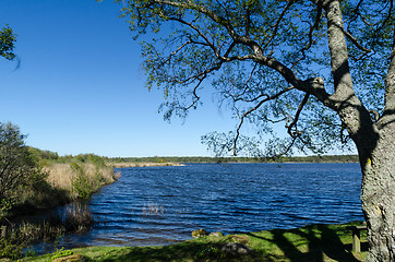 Image showing View from the nature reserve Horns Kungsgard at the swedish isla