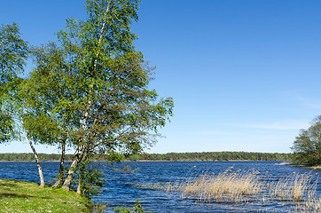 Image showing Beautiful view from the nature reserve Horns Kungsgard at the sw