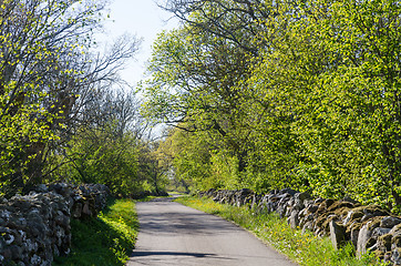 Image showing Country road with dry stone walls by leafing time