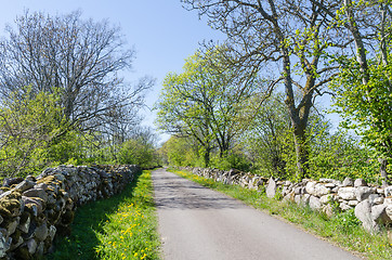 Image showing Springtime view of a beautiful country road surrounded with dry 