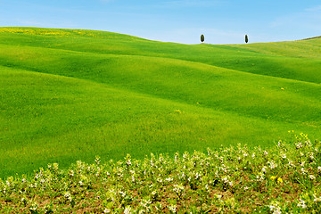 Image showing Beautiful spring minimalistic landscape with green hills in Tuscany