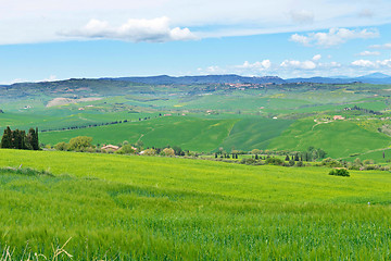 Image showing Beautiful spring landscape with hills in Tuscany