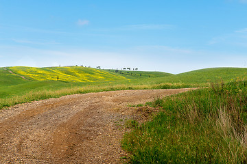 Image showing Winding road in Tuscana, Italy