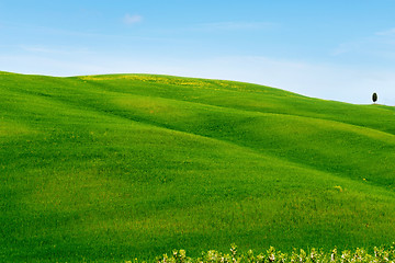 Image showing Beautiful spring minimalistic landscape with green hills in Tuscany