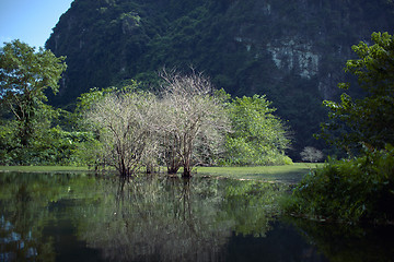Image showing Trang An landscape with water, trees and limestone mountain. Vietnam