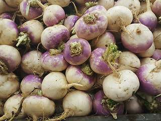 Image showing Harvest of turnips