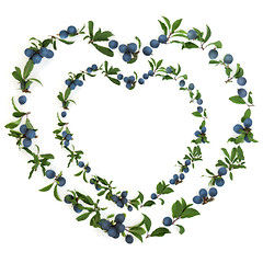 Image showing Abstract Heart Shaped Sloe Berry Wreath