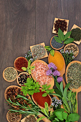 Image showing Herbs and Spices