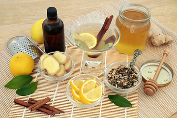 Image showing Natural Alternative Cold and Flu Remedy