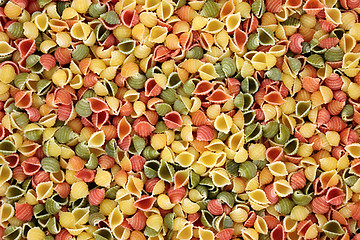 Image showing Italian Conchigle Tricolour Pasta