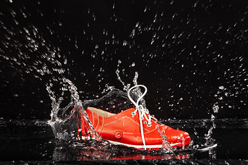 Image showing Red Shoe In The Water