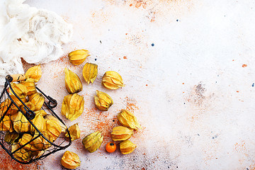 Image showing Physalis fruit