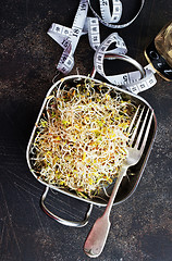 Image showing Raw sprouts