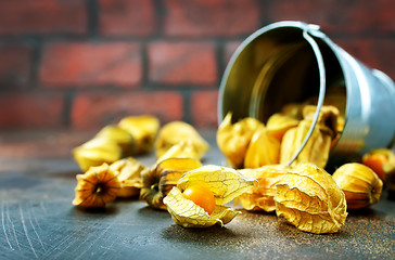 Image showing Physalis fruit