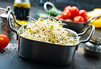 Image showing Raw sprouts