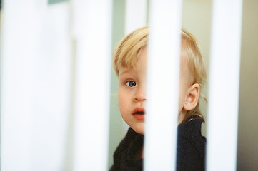 Image showing Baby girl portrait. View through the crib