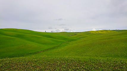 Image showing Beautiful spring minimalistic landscape with green hills in Tuscany