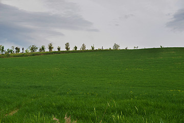 Image showing Beautiful spring landscape with hills in Tuscany