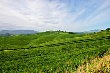 Image showing Beautiful spring evening froggy landscape in Tuscany