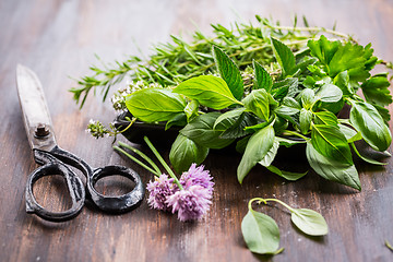 Image showing Bunch of different herbs for cooking