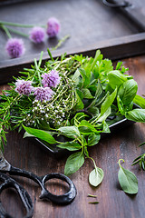 Image showing Bunch of different herbs for cooking