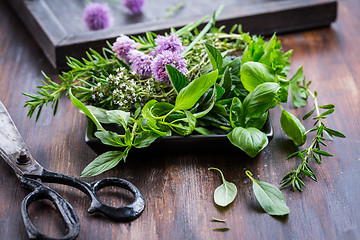 Image showing Bunch of different herbs for cooking