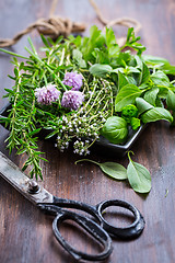 Image showing Bunch of different herbs for cooking