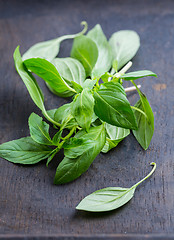 Image showing Thai basil leaves