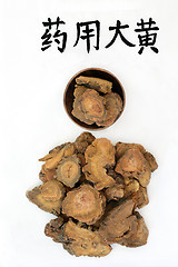 Image showing Chinese Rhubarb Root Herb