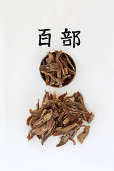 Image showing Chinese Stemona Tuber Herb