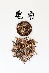 Image showing Chinese Honeylocust Herb