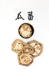 Image showing Chinese Cucumber Herb