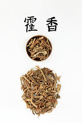 Image showing Korean Mint Herb