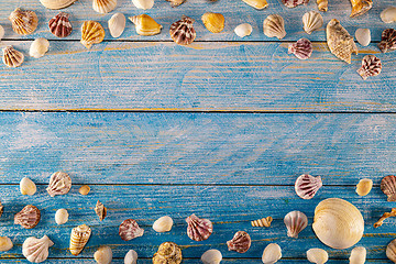 Image showing Summer time concept with sea shells on a blue wooden background