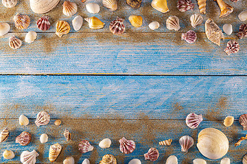 Image showing Summer time concept with sea shells on a blue wooden background 