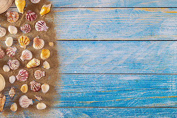 Image showing Summer time concept with sea shells on a blue wooden background 
