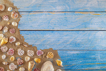 Image showing Summer time concept with sea shells on a blue wooden background 