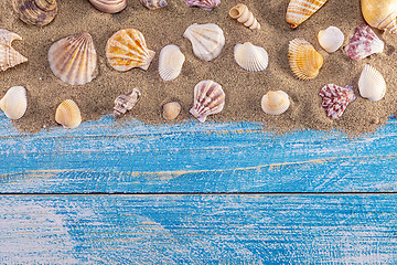 Image showing Summer time concept with sea shells on a blue wooden background 