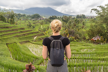 Image showing Caucasian female tourist wearing small backpack looking at beautiful green rice fields and terraces of Jatiluwih on Bali island