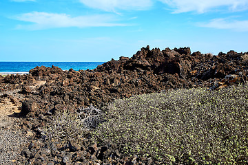 Image showing Landscape of Lanzarote Island, Canaries