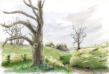 Image showing Landscape with tree. Loose sketch.