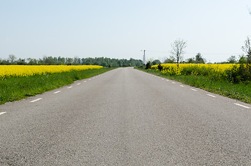 Image showing Ground level view of an asphalt road with rapeseed fields by roa