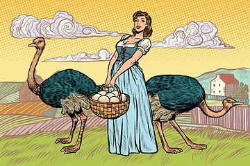 Image showing ostrich farm eggs. woman peasant farmer