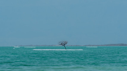 Image showing Dead Sea shore with salty beach