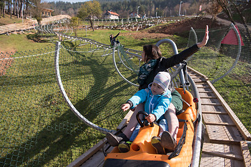 Image showing mother and son enjoys driving on alpine coaster